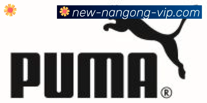 NG体育官网合作伙伴